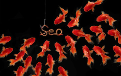 SEO Basics You Cannot Afford to Ignore